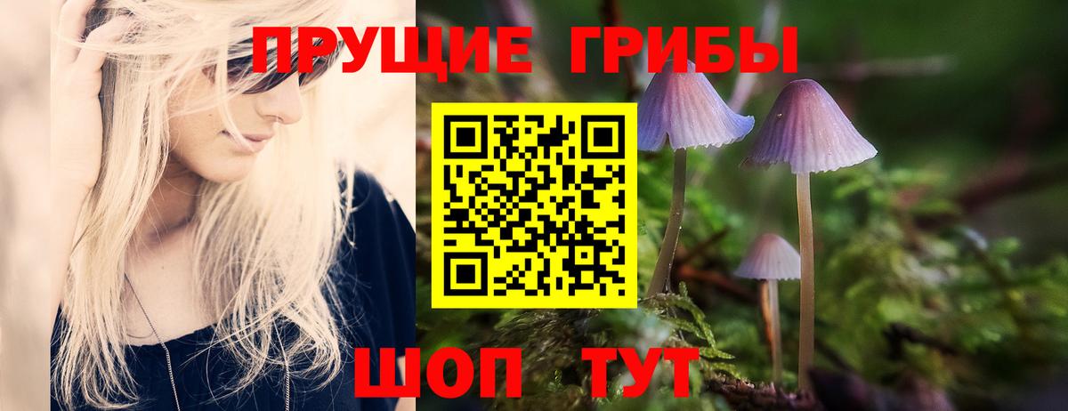Галлюциногенные грибы Magic Shrooms  Псилоцибиновые грибы GOLDEN TEACHER  Вход с VPN  где продают наркотики  Армавир 